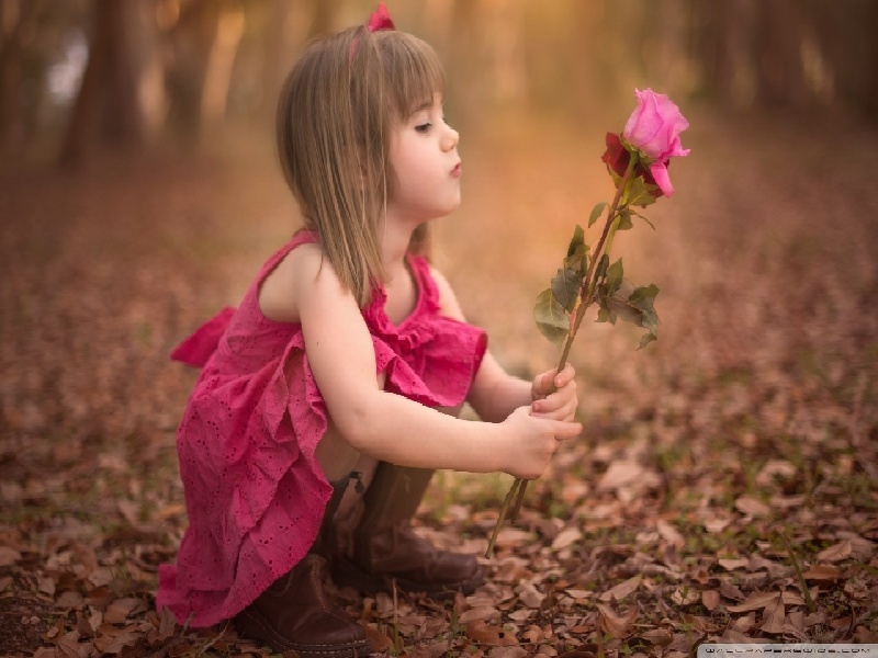 睾丸穿刺需要多少费用（女人去做试管）